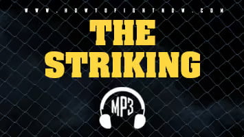 The MP3 Striking Workout - Fight Smart