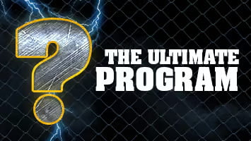 The Ultimate Program - Fight Smart