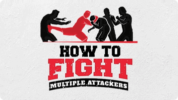 How To Fight Multiple Attackers r8b